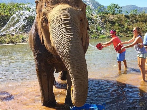 ethical animal tourism in Thailand