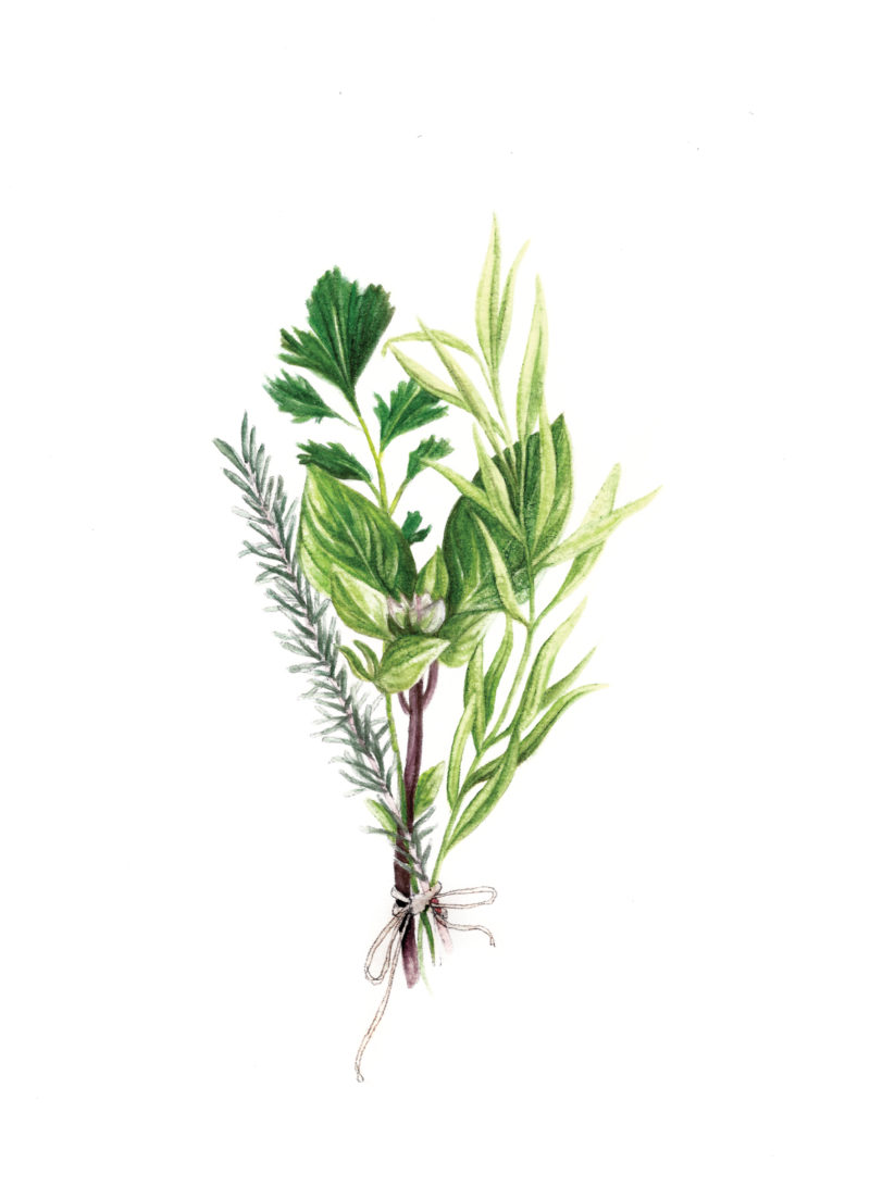 An illustration of greenery