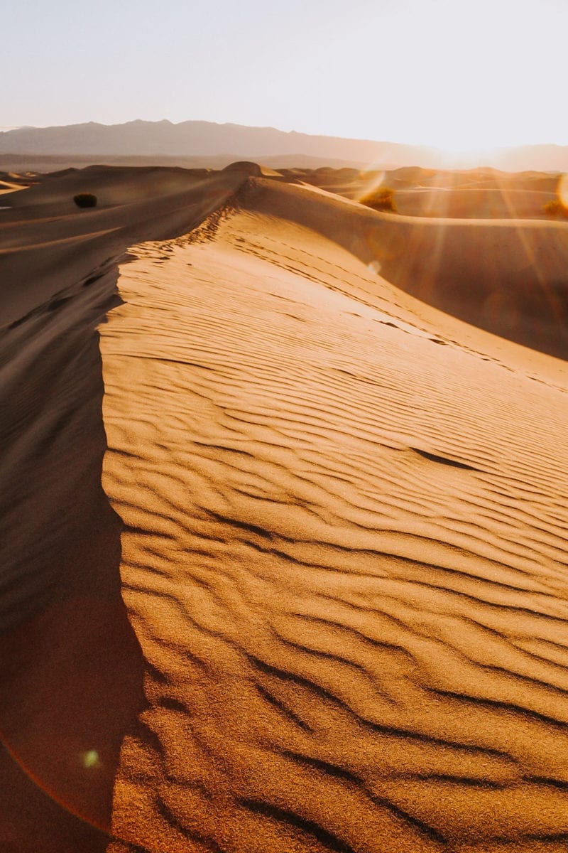 A picture of sand dunes