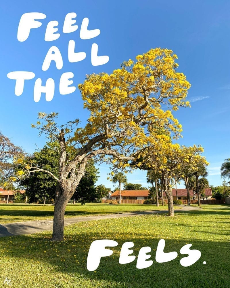 An illustration of a park with the words, "Feel All the Feels."