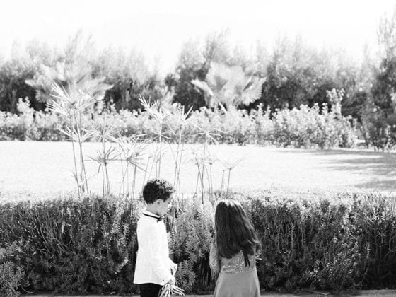 A little boy and girl standing in front of grass with their backs facing the camera