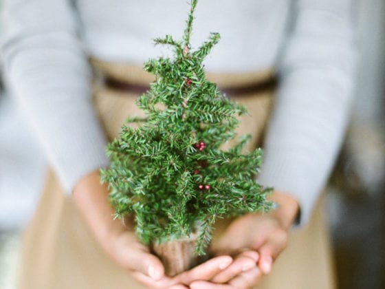 A woman holding a hand sized tree in her hands