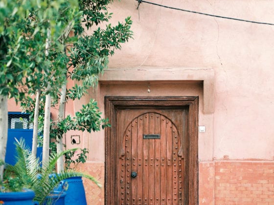 A wooden door and several tall green plants in pots near the door
